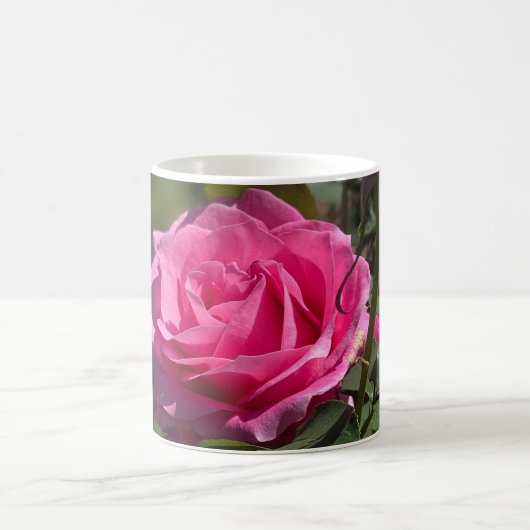Single Rosa Rose Kaffeetasse (Mittel)