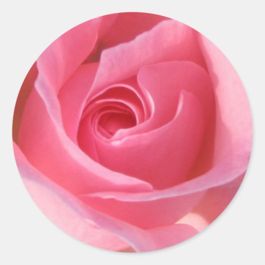 Single Rosa Rose Runder Aufkleber (Vorderseite)