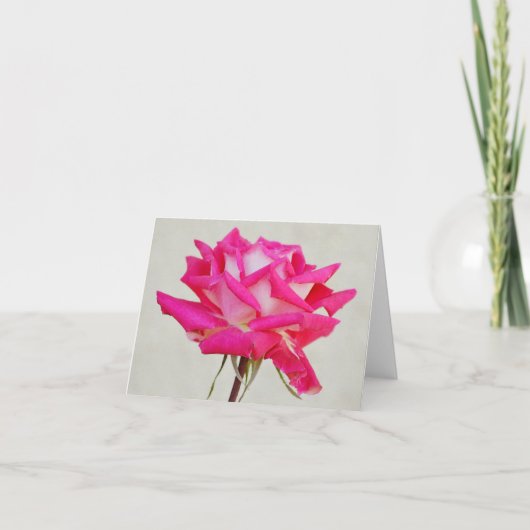 Single Rosa Rose von Gertie's Garden Note Card Karte (Vorderseite)