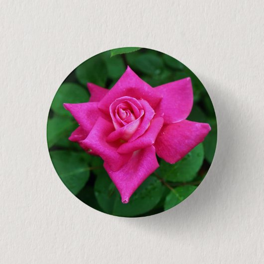 Single Rosa Rundtaste Button (Vorderseite)