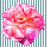 Single Rosa Skulptur Freistehende Fotoskulptur<br><div class="desc">Dieses Single rosa Rosendesign aus Zazzle und Elisabeths Creative-Verfolgungswettkämpfen zeichnet sich durch eine Rosa-Single-Rose aus. Es ist auch mit einem Single gelb Rose, einem Single rote Rose, oder einen Single weiß Rose. Rote Rosen symbolisieren Liebe und Leidenschaft, Gelbe Rosen symbolisieren Freundschaft, rosa Rosen symbolisieren Bewunderung oder Zuneigung, und weiße Rosen,...</div>