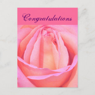 Single Rose_ Postkarte