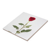 Single-Rosen-Fliese Fliese (Seite)