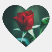 Single rot Herz-Aufkleber (Vorderseite)