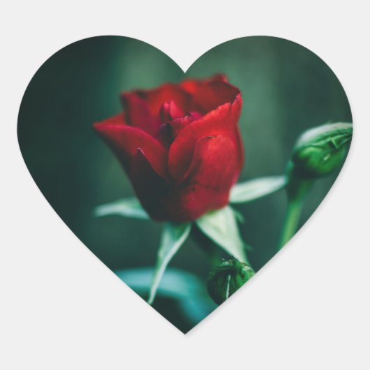 Single rot Herz-Aufkleber (Vorderseite)