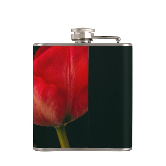 Single-Rot-Tulpe Flachmann (Rückseite)