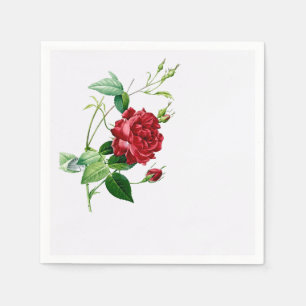 Single rote Redoute Rose auf Serviette