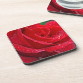 Single rote Rose blüht Untersetzer (Linke Seite)