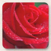Single rote Rose blüht Untersetzer (Vorderseite)