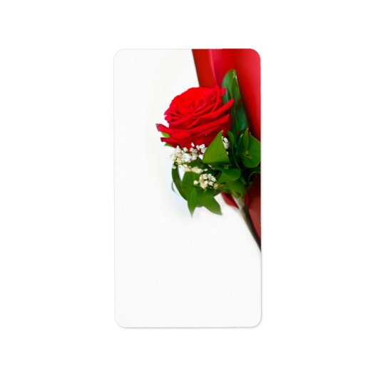 Single Rote Rose - Blumenweißer Hintergrund Adressaufkleber (Vorne)