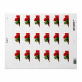 Single Rote Rose - Blumenweißer Hintergrund Adressaufkleber (Vorne)
