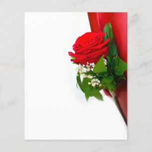 Single Rote Rose - Blumenweißer Hintergrund Flyer