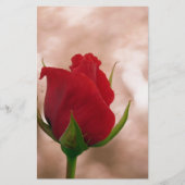 Single Rote Rose Briefpapier (Vorderseite)