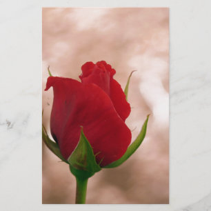 Single Rote Rose Briefpapier