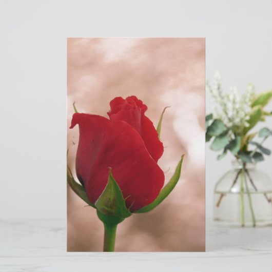 Single Rote Rose Briefpapier (Stehend Vorderseite)