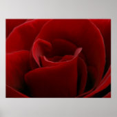 Single-Rote Rose drucken Poster (Vorne)