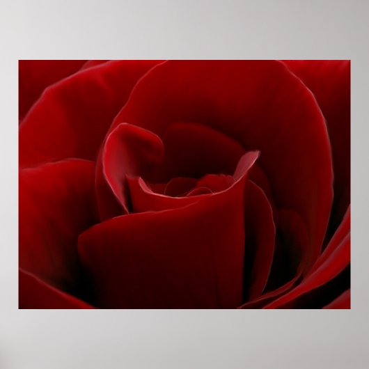 Single-Rote Rose drucken Poster (Vorne)
