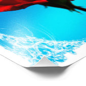 Single rote Rose Fotodruck (Ecke)