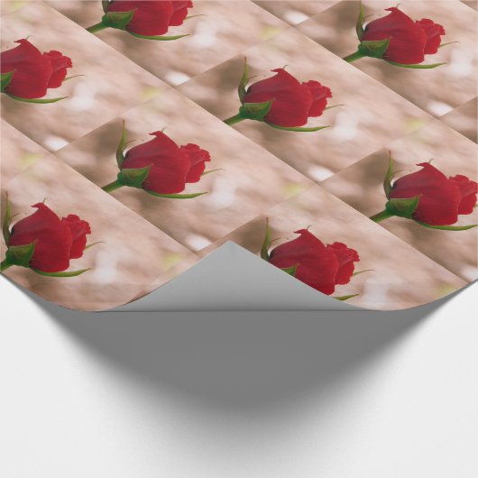 Single Rote Rose Geschenkpapier (Ecke)