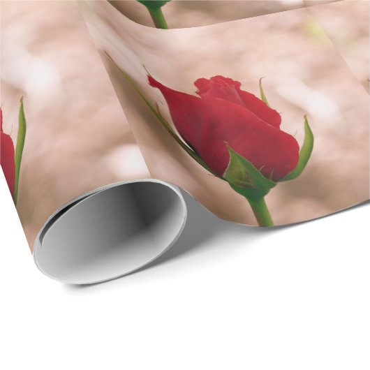 Single Rote Rose Geschenkpapier (Rolleneckpunkt)