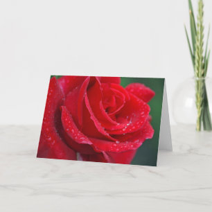 Single-rote Rose-Grußkarte Karte