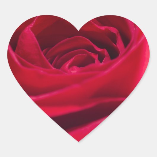 Single Rote Rose Herz-Aufkleber (Vorderseite)
