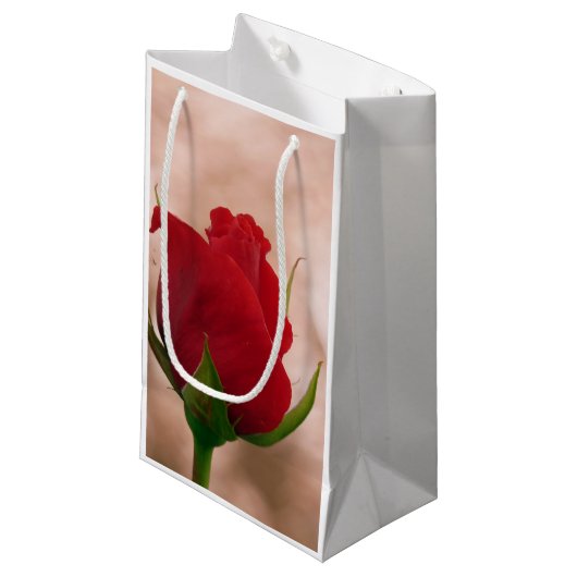 Single Rote Rose Kleine Geschenktüte (Vorderseite Schrägansicht)