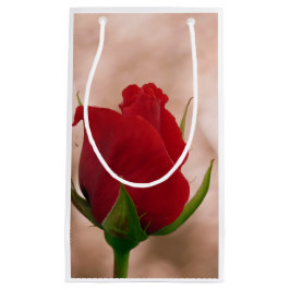 Single Rote Rose Kleine Geschenktüte