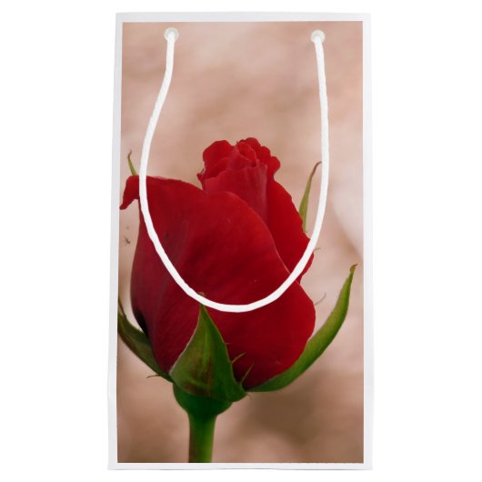Single Rote Rose Kleine Geschenktüte (Vorderseite)
