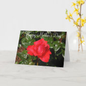 Single rote Rose Muttertagskarte Karte (Gelbe Blume)