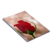 Single Rote Rose Notizblock (Rechte Seite)