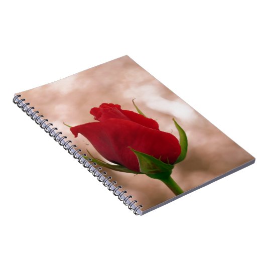 Single Rote Rose Notizblock (Rechte Seite)