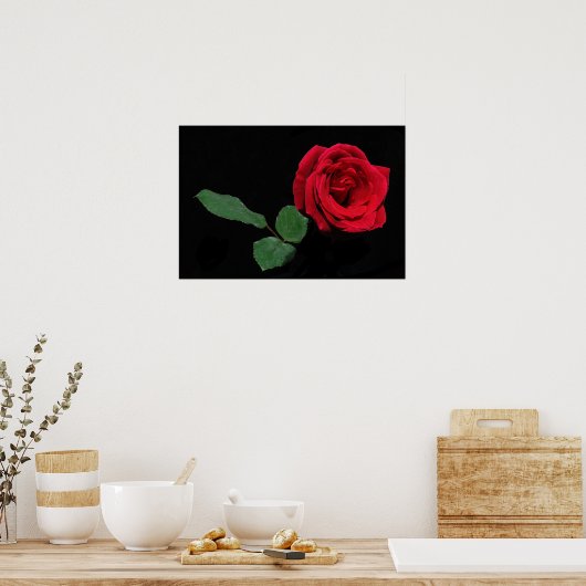 Single Rote Rose Poster (Küche)