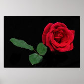 Single Rote Rose Poster (Vorne)
