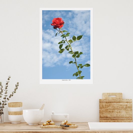 Single Rote Rose Poster (Küche)
