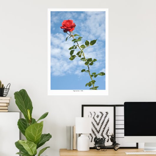 Single Rote Rose Poster (Heimbüro)