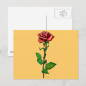 Single Rote Rose Postkarte (Vorne/Hinten)