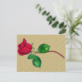 Single Rote Rose Postkarte (Stehend Vorderseite)