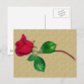 Single Rote Rose Postkarte (Vorne/Hinten)