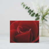 Single Rote Rose Postkarte (Stehend Vorderseite)