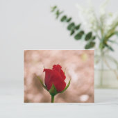 Single Rote Rose Postkarte (Stehend Vorderseite)