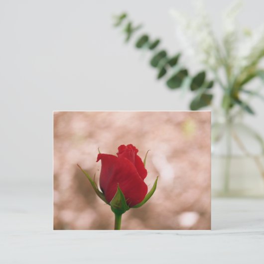 Single Rote Rose Postkarte (Stehend Vorderseite)