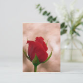 Single Rote Rose Postkarte (Stehend Vorderseite)