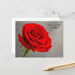 Single Rote Rose Postkarte