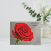 Single Rote Rose Postkarte (Stehend Vorderseite)