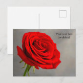 Single Rote Rose Postkarte (Vorne/Hinten)