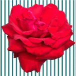 Single Rote Rose Skulptur Freistehende Fotoskulptur<br><div class="desc">Dieses Single Rote Rose Design aus Zazzle und Elisabeth's Creative verfolgt seinen Single eine rote Rose. Es ist auch mit einem Single gelb Rose, einen Single rosa Rosa oder einen Single weiß Rose. Rote Rosen symbolisieren Liebe und Leidenschaft, Gelbe Rosen symbolisieren Freundschaft, rosa Rosen symbolisieren Bewunderung oder Zuneigung, und weiße...</div>