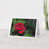 Single Rote Rose und grüne Blätter Karte (Vorderseite)