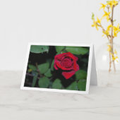Single Rote Rose und grüne Blätter Karte (Gelbe Blume)
