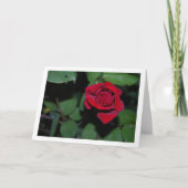 Single Rote Rose und grüne Blätter Karte (Vorderseite)